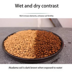 ZzbTwinkle Akadama top dressing enhances soil performance for potted plants.