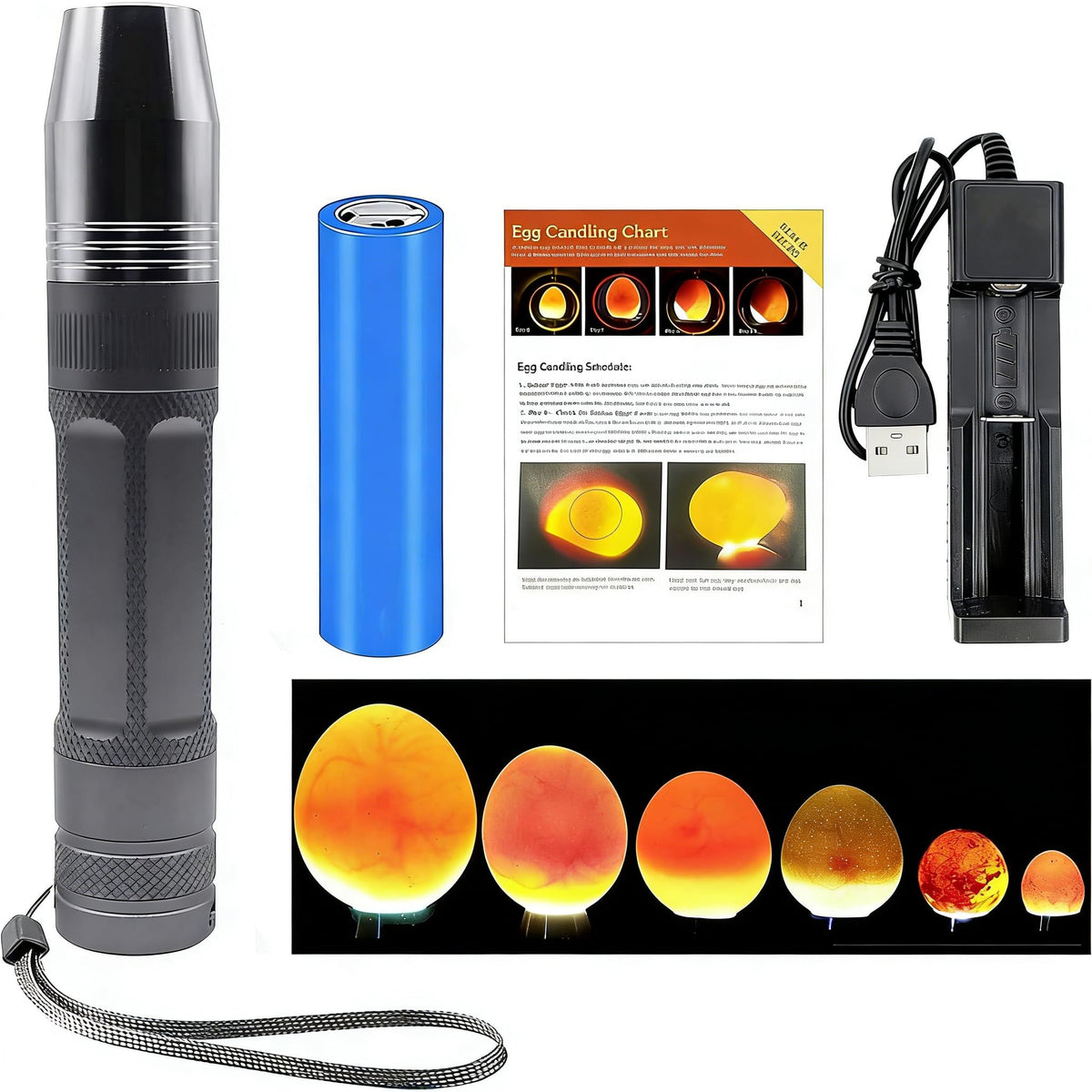 ZZBUY Egg Candler Light reveals embryo details on chicken eggs for clearer candling