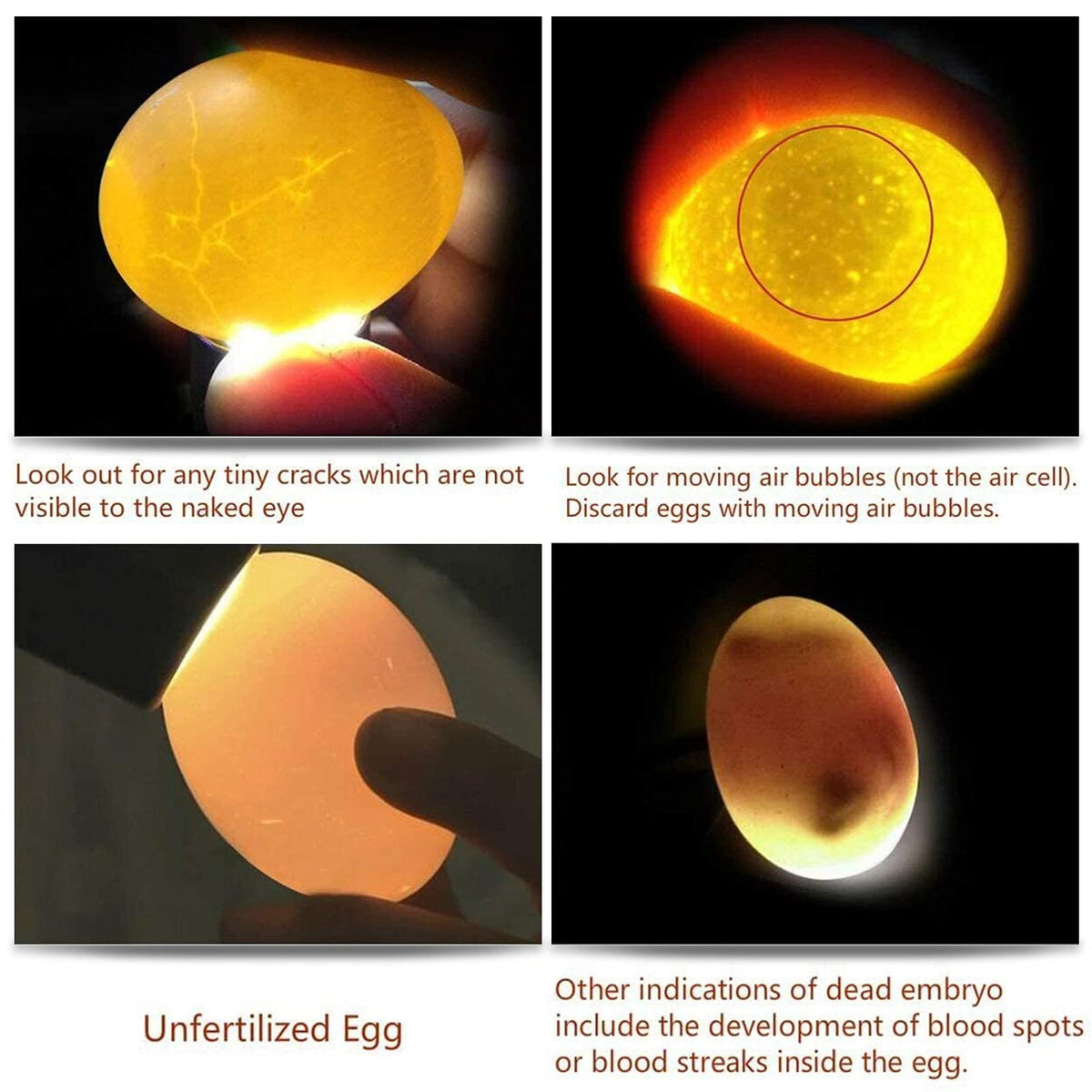 ZZBUY Egg Candler Light offers five modes for versatile illumination