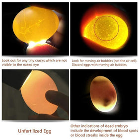 ZZBUY Egg Candler Light offers five modes for versatile illumination