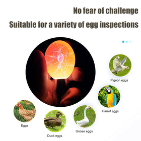 ZZBUY Egg Candler Light doubles as an incubator-check light