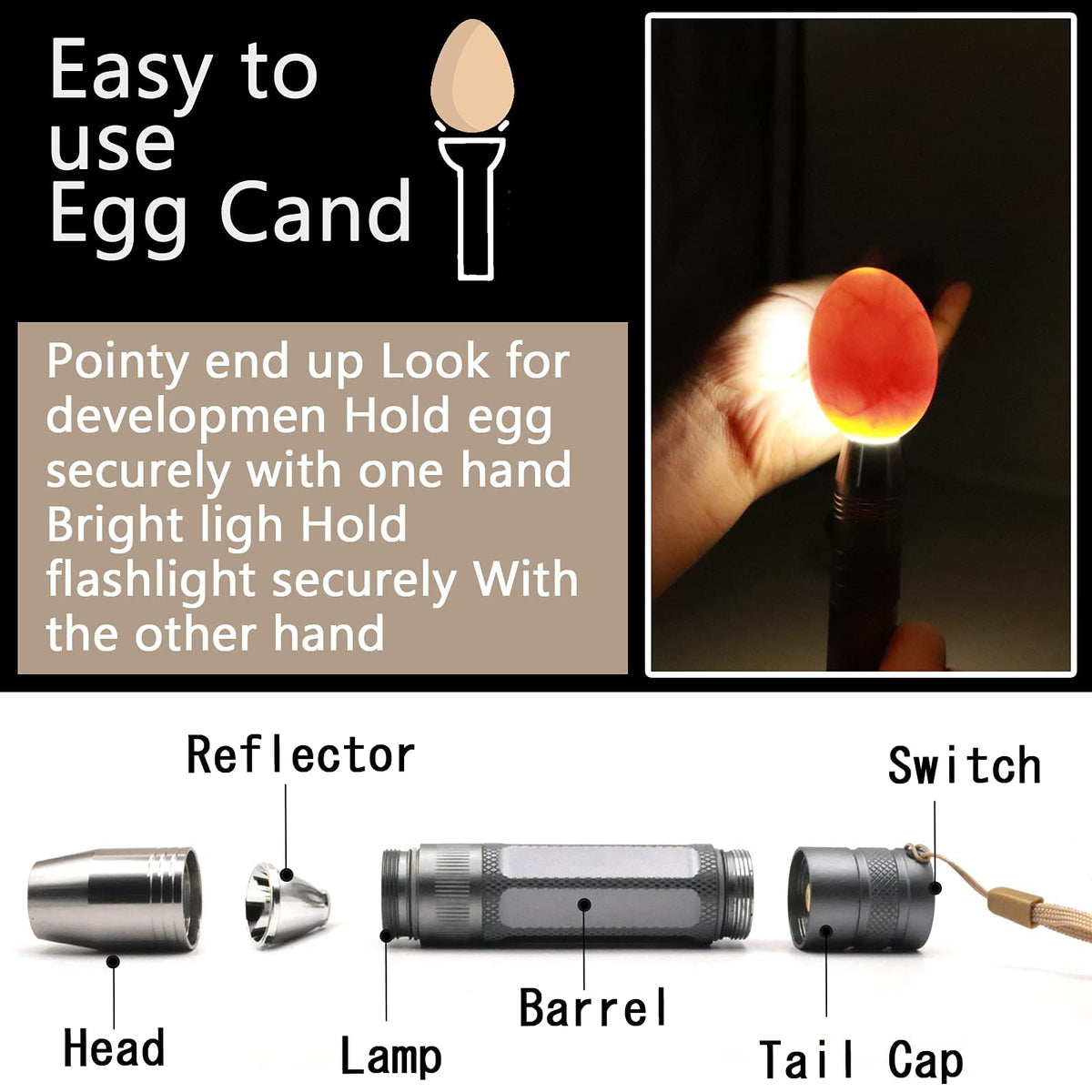 ZZBUY Egg Candler Light aids quail egg candling with precision