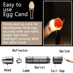 ZZBUY Egg Candler Light aids quail egg candling with precision