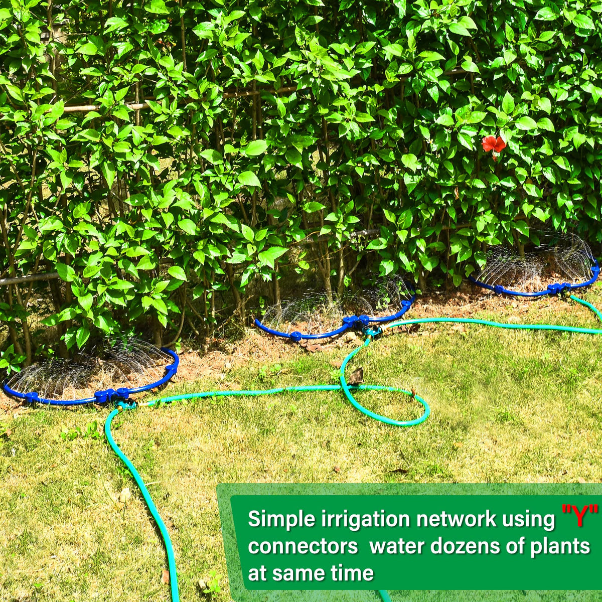 ZZM Tree Water System installed under a tree on a hot sunny day