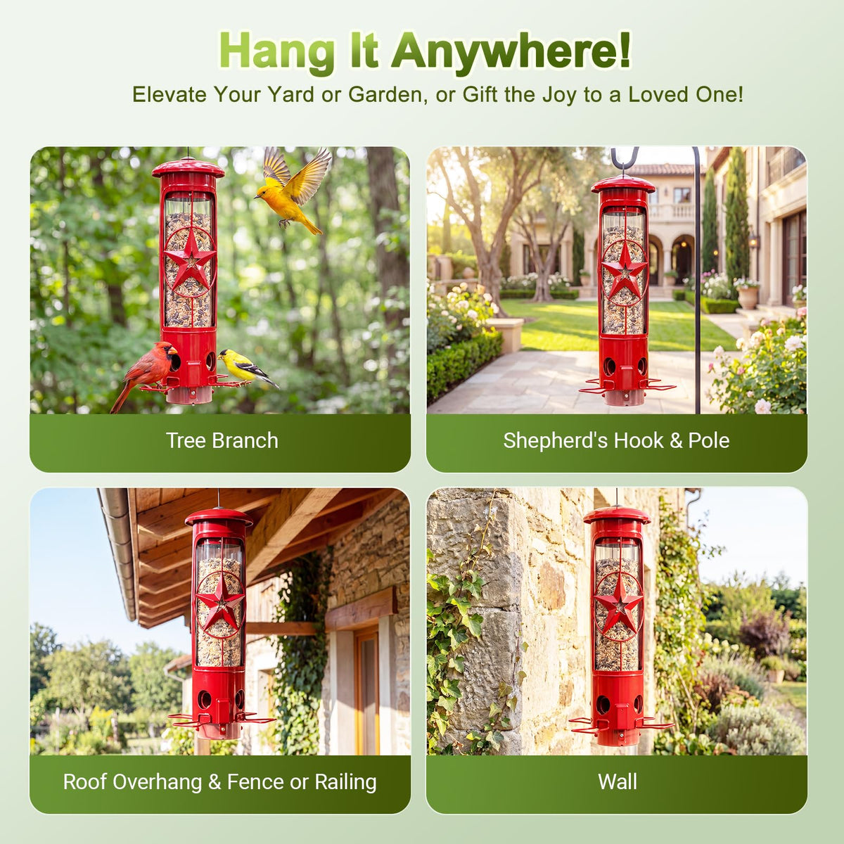 Ideal for patios and gardens with mixed feeding visitors.