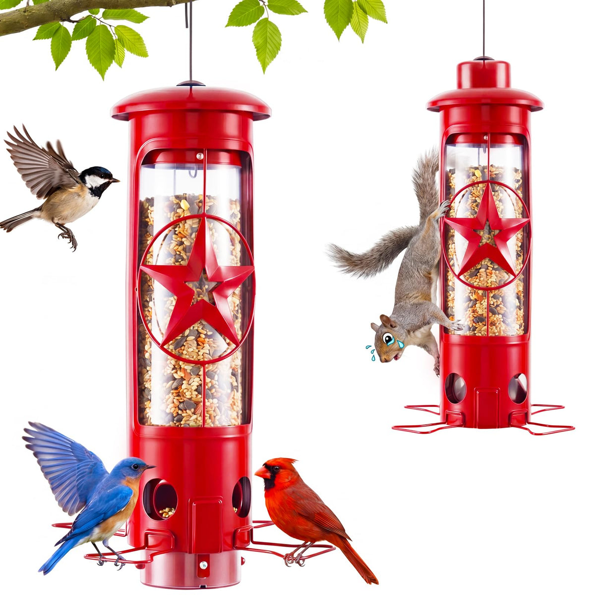 ZZOOEE weight-activated squirrel-proof feeder in action protecting seeds.