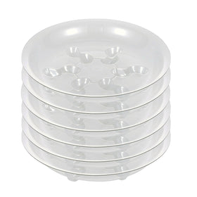ZZPYXIA 6-pack 8-inch clear plant saucers for clean, unobtrusive pot drainage.