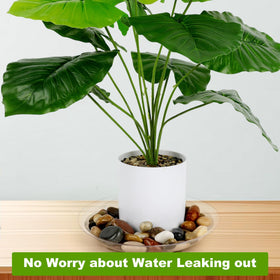 ZZPYXIA 6-pack clear saucers for pots provides uniform coverage
