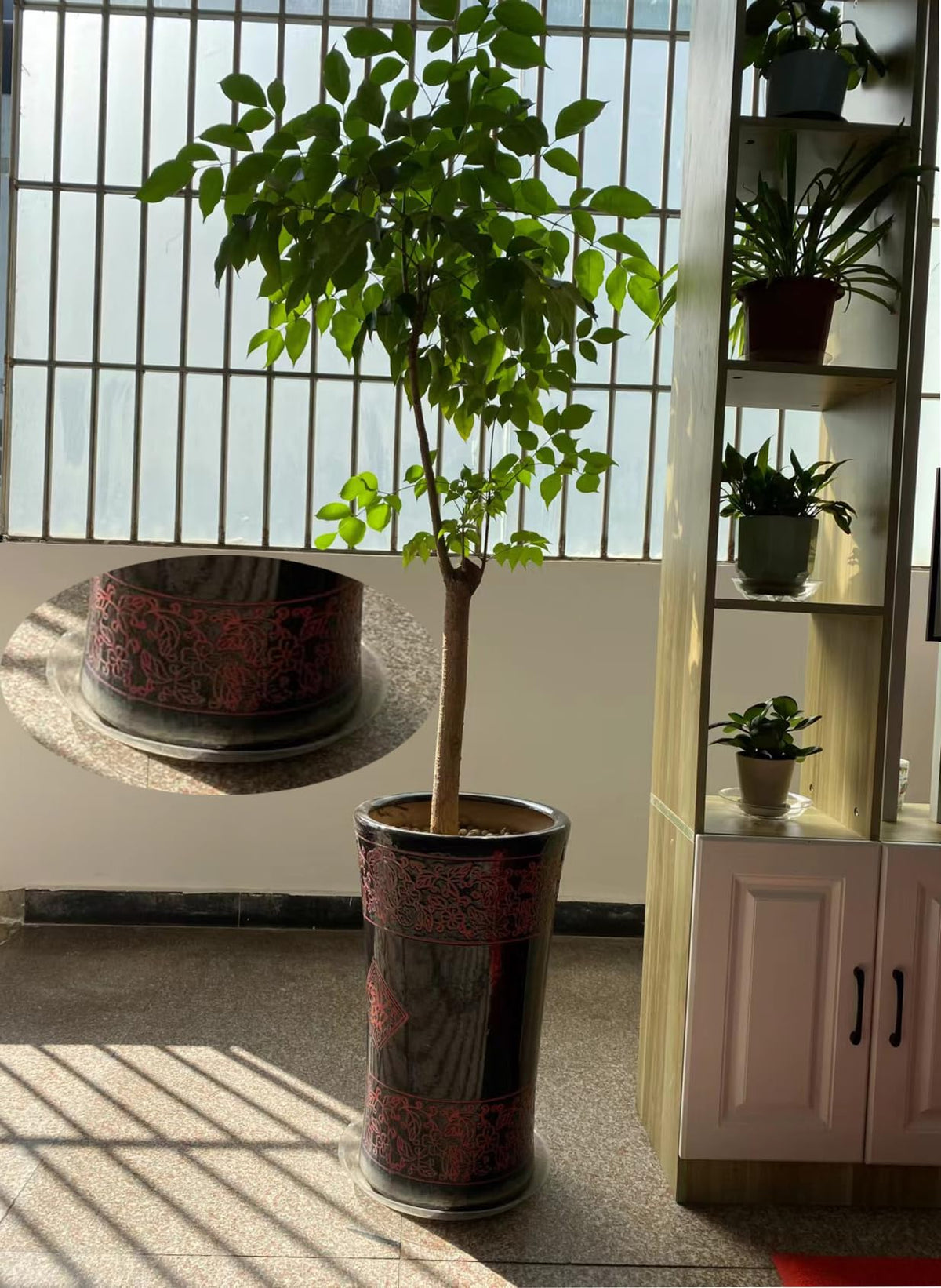 ZZPYXIA 14-inch saucers prevent water damage on tables.