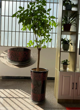 ZZPYXIA 14-inch saucers prevent water damage on tables.