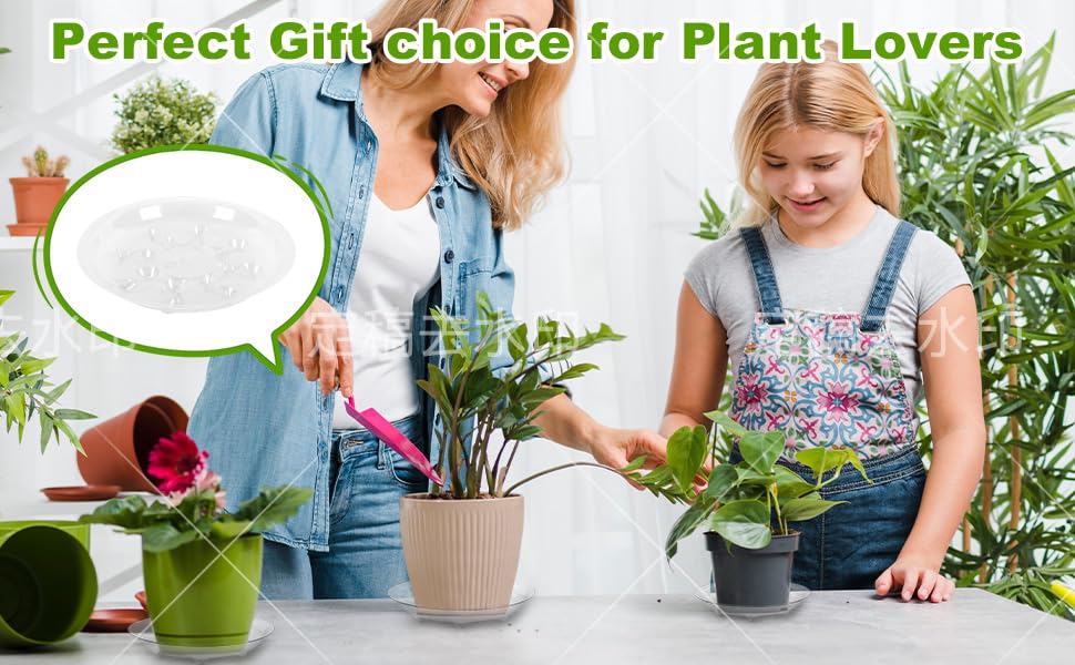 ZZPYXIA 8-inch clear plant saucer adds stability for heavier pots.