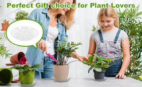 ZZPYXIA 8-inch clear plant saucer adds stability for heavier pots.