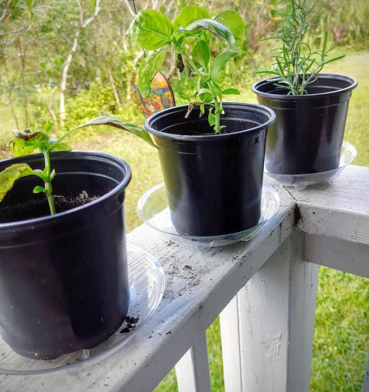ZZPYXIA clear saucer fits patio pots while staying discreet.