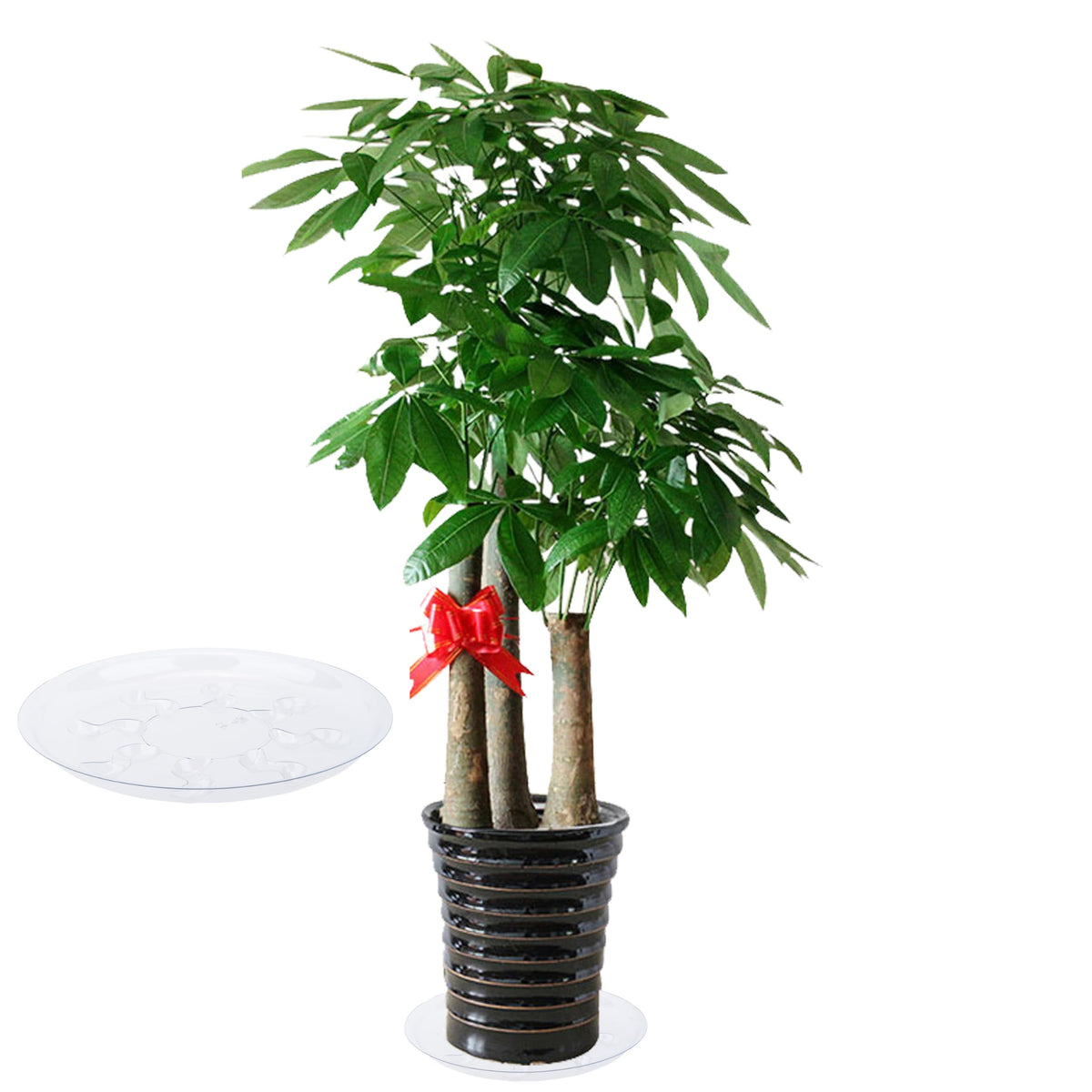 ZZPYXIA transparent design blends with decor while catching spills.