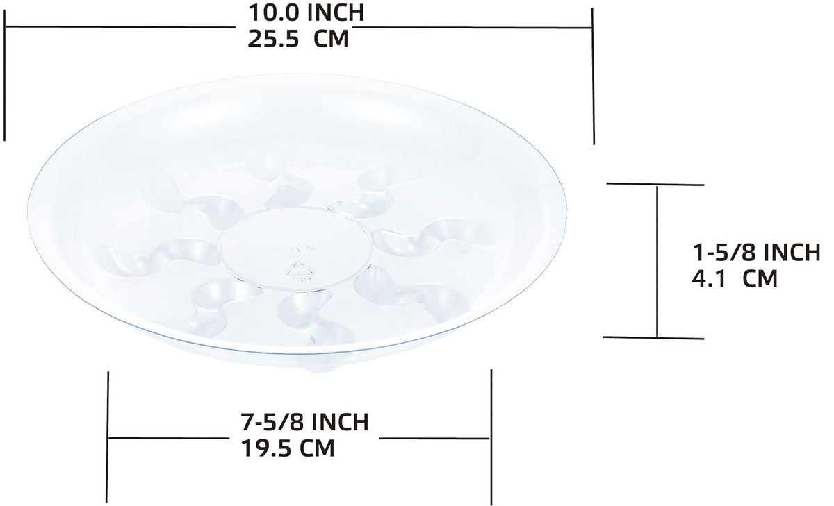 ZZPYXIA transparent saucer with petal bottom design enhances appearance while catching excess water.